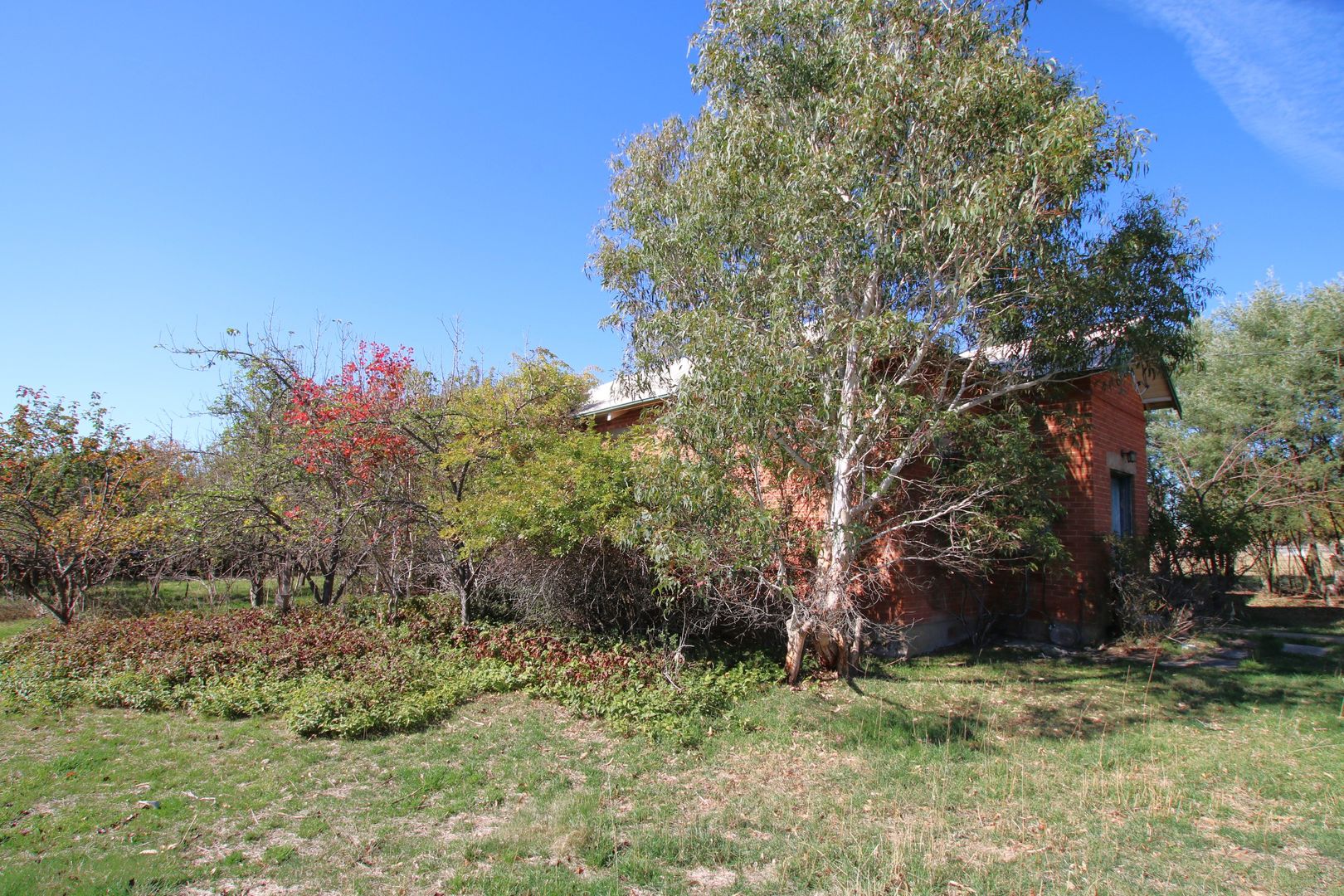 17 Craigie Street, Delegate NSW 2633, Image 2