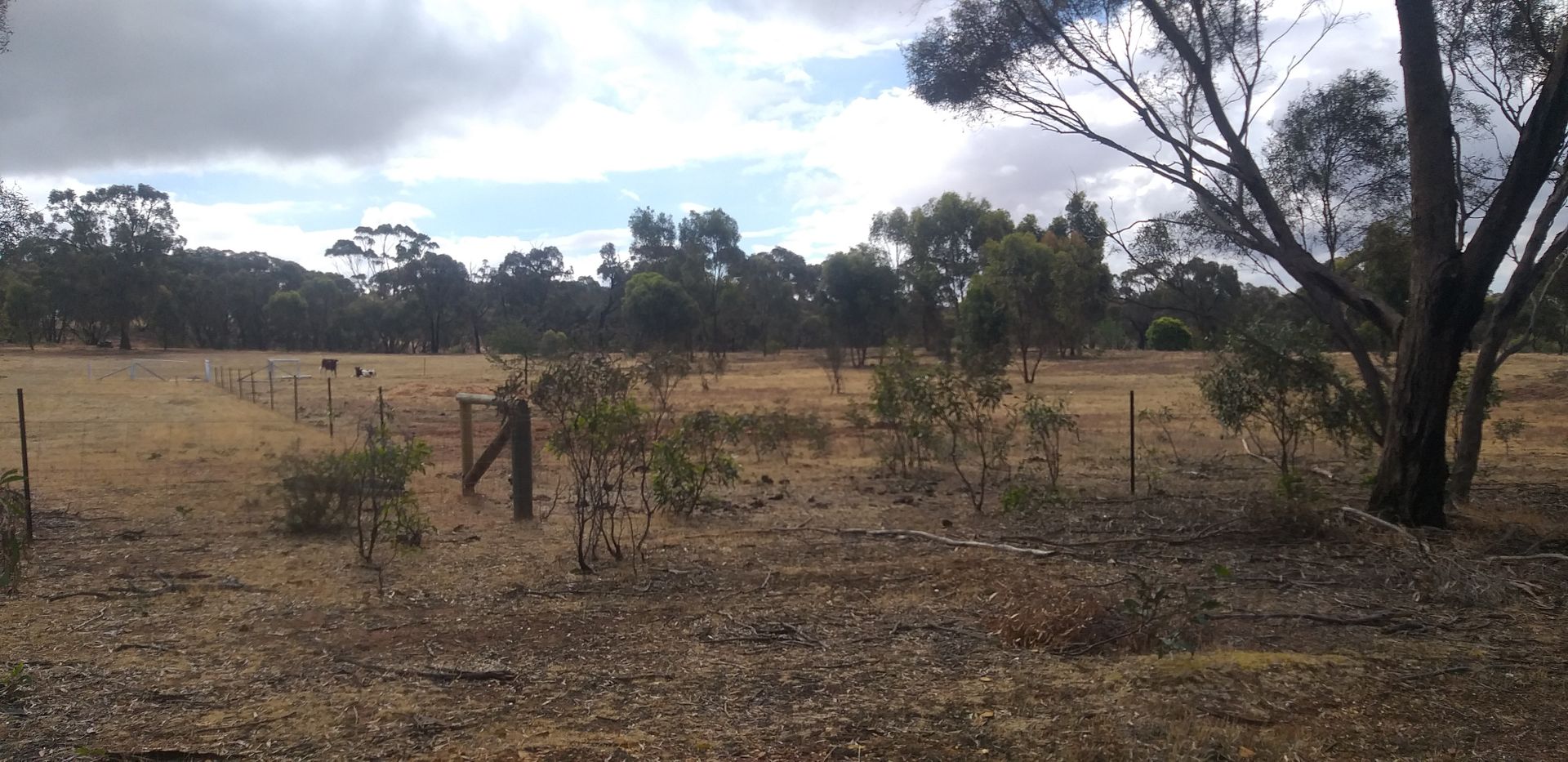 Lot 1 Benbow Road, St Arnaud VIC 3478 House for Sale 360,000