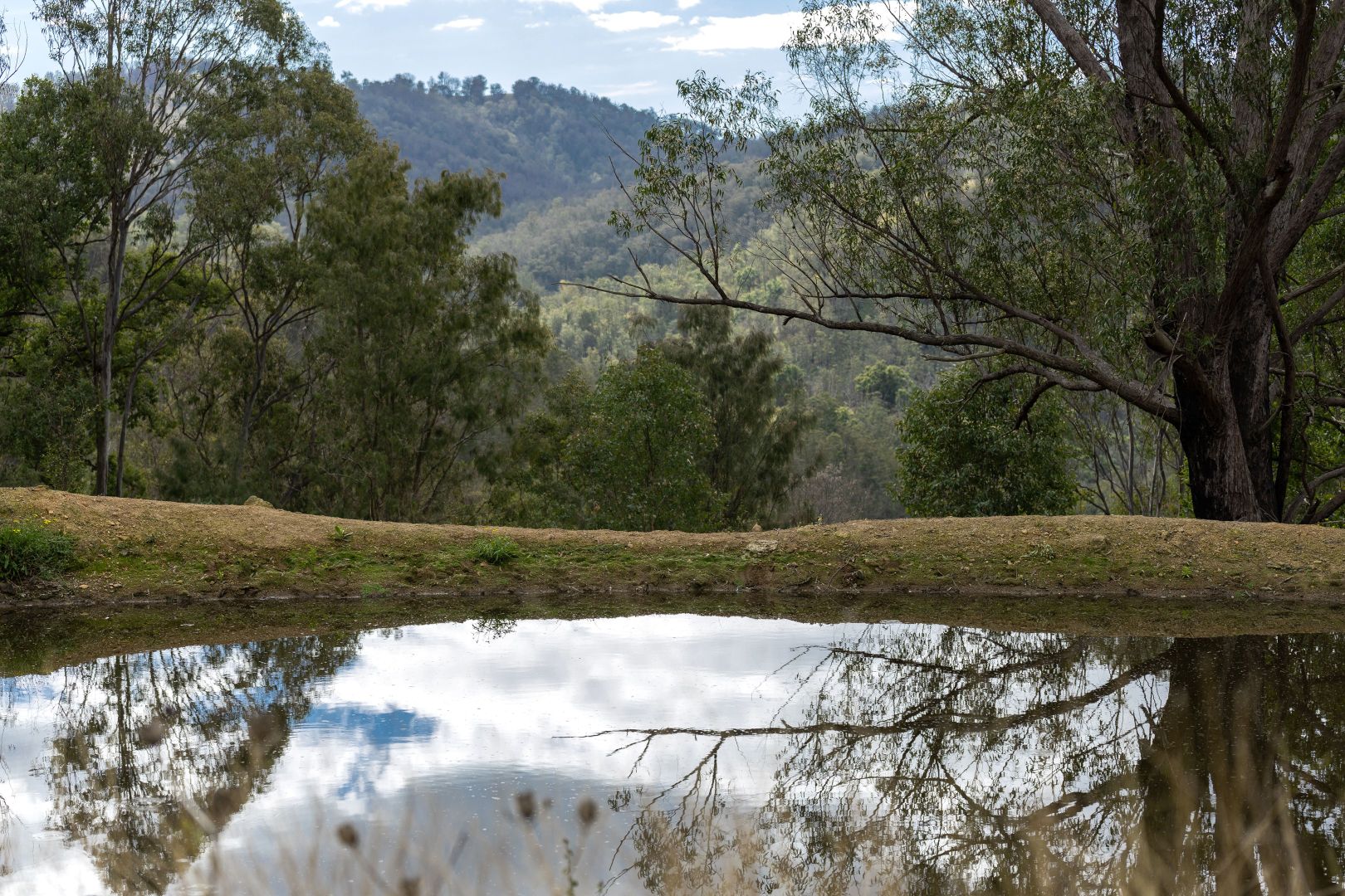 Lot 29 McPhersons Country Estate, Enfield Range Road, Cells River NSW 2424, Image 2