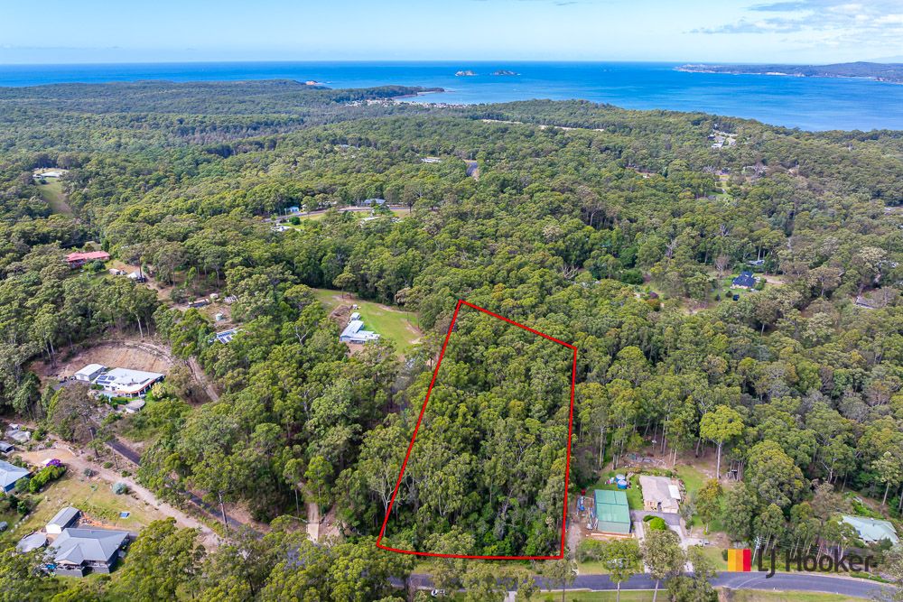 50 Tree Fern Place, Long Beach NSW 2536, Image 2