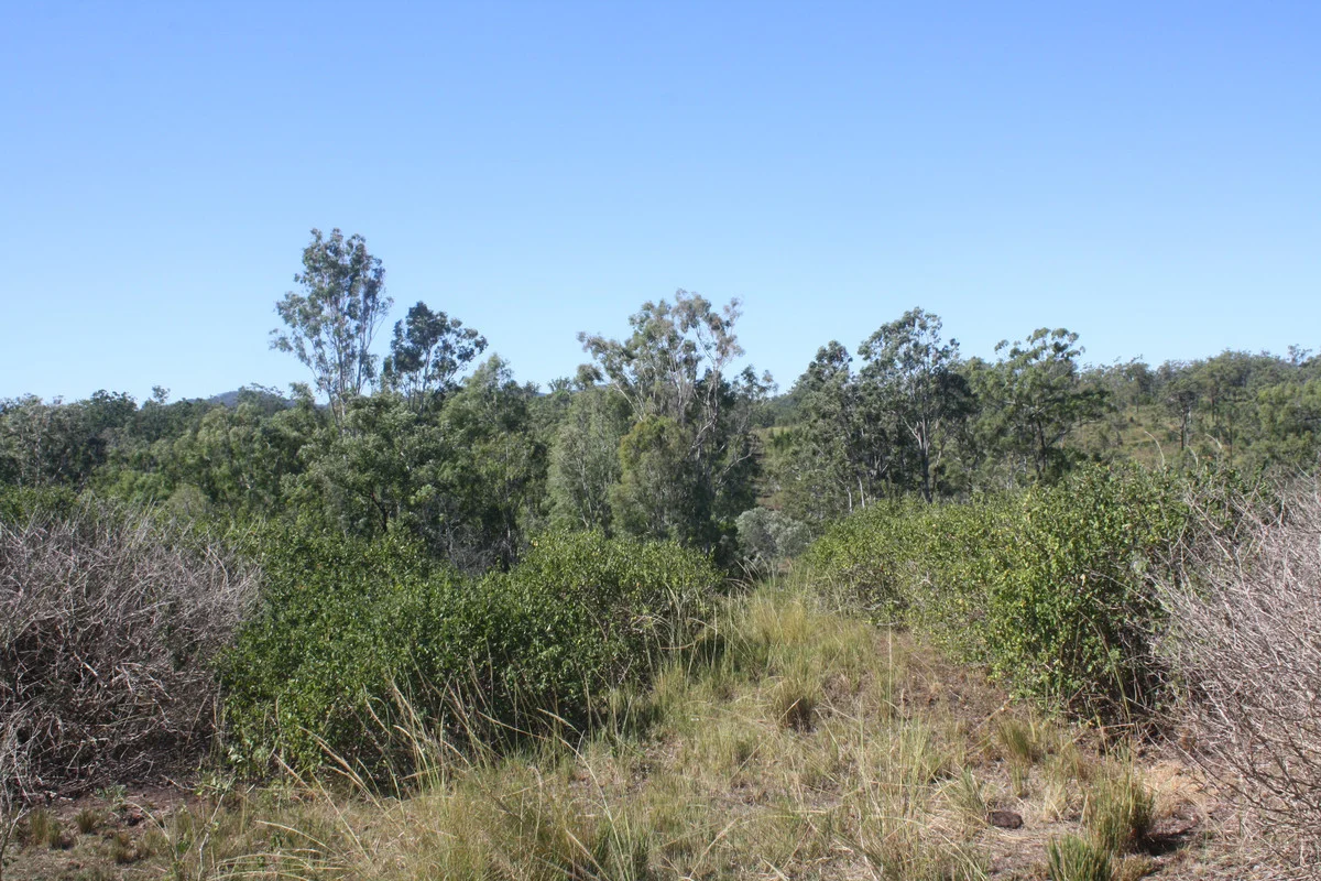 Image 31