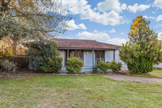 Picture of 15 Jenkins Street, ASHMONT NSW 2650