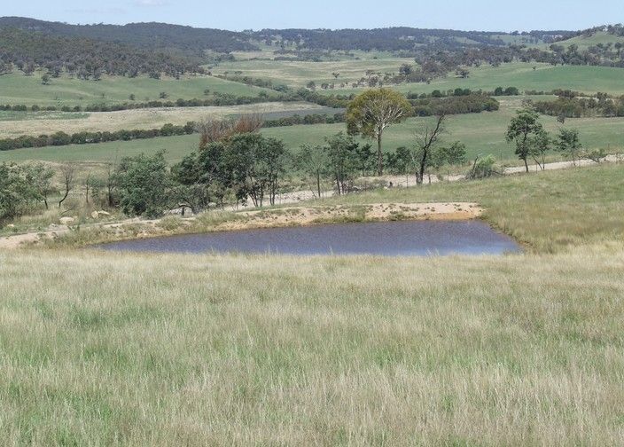 Lot 1 Tyrl Tyrl Road, GOLSPIE NSW 2580, Image 0