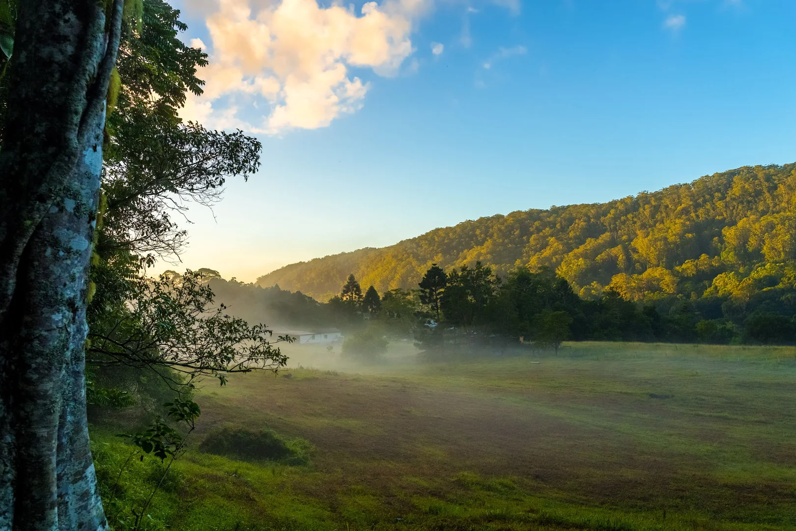 Additional image 34 of 1028 Wilsons Creek Road, Wilsons Creek NSW 2482