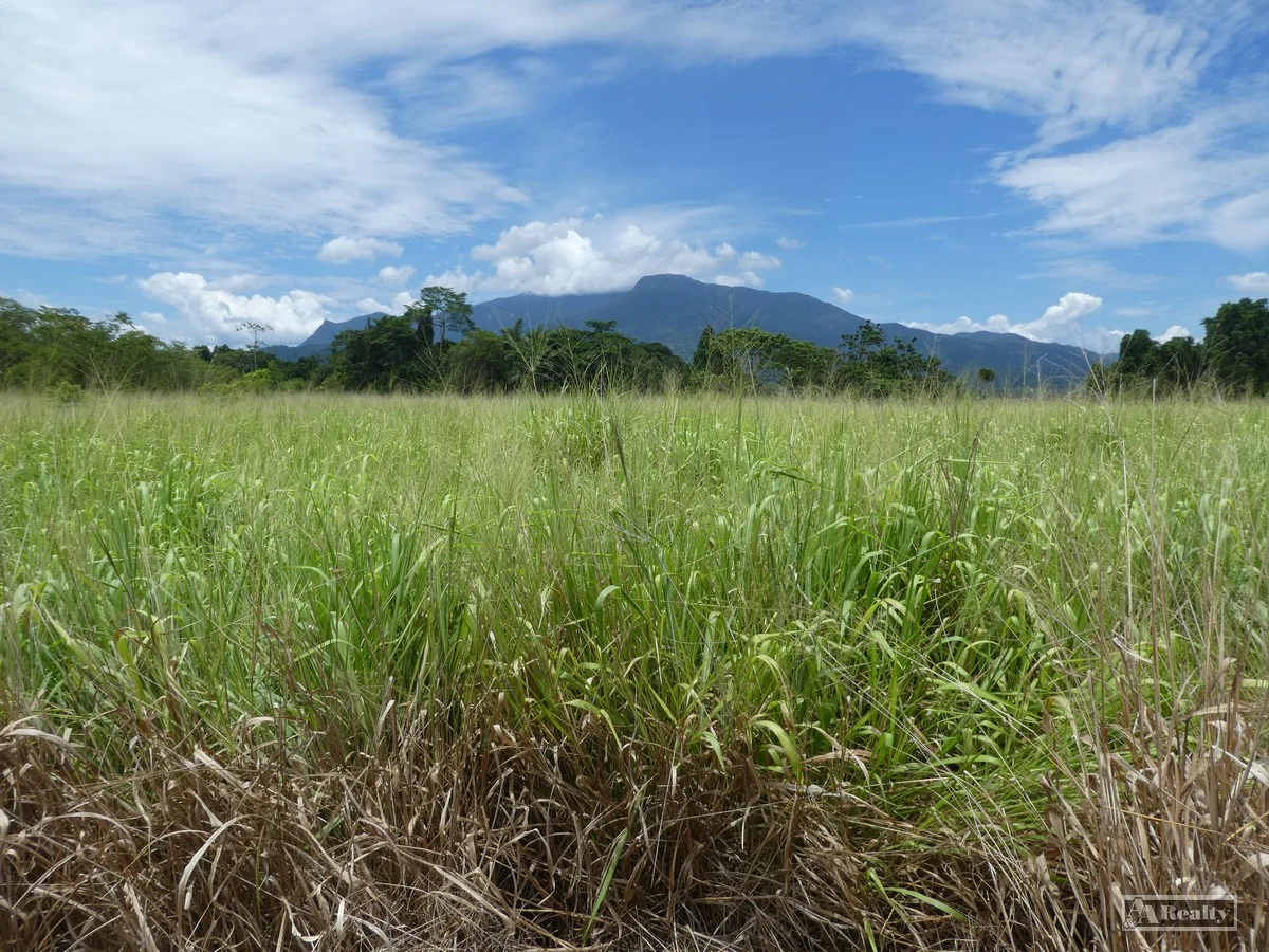Additional image 11 of Eubenangee QLD 4860