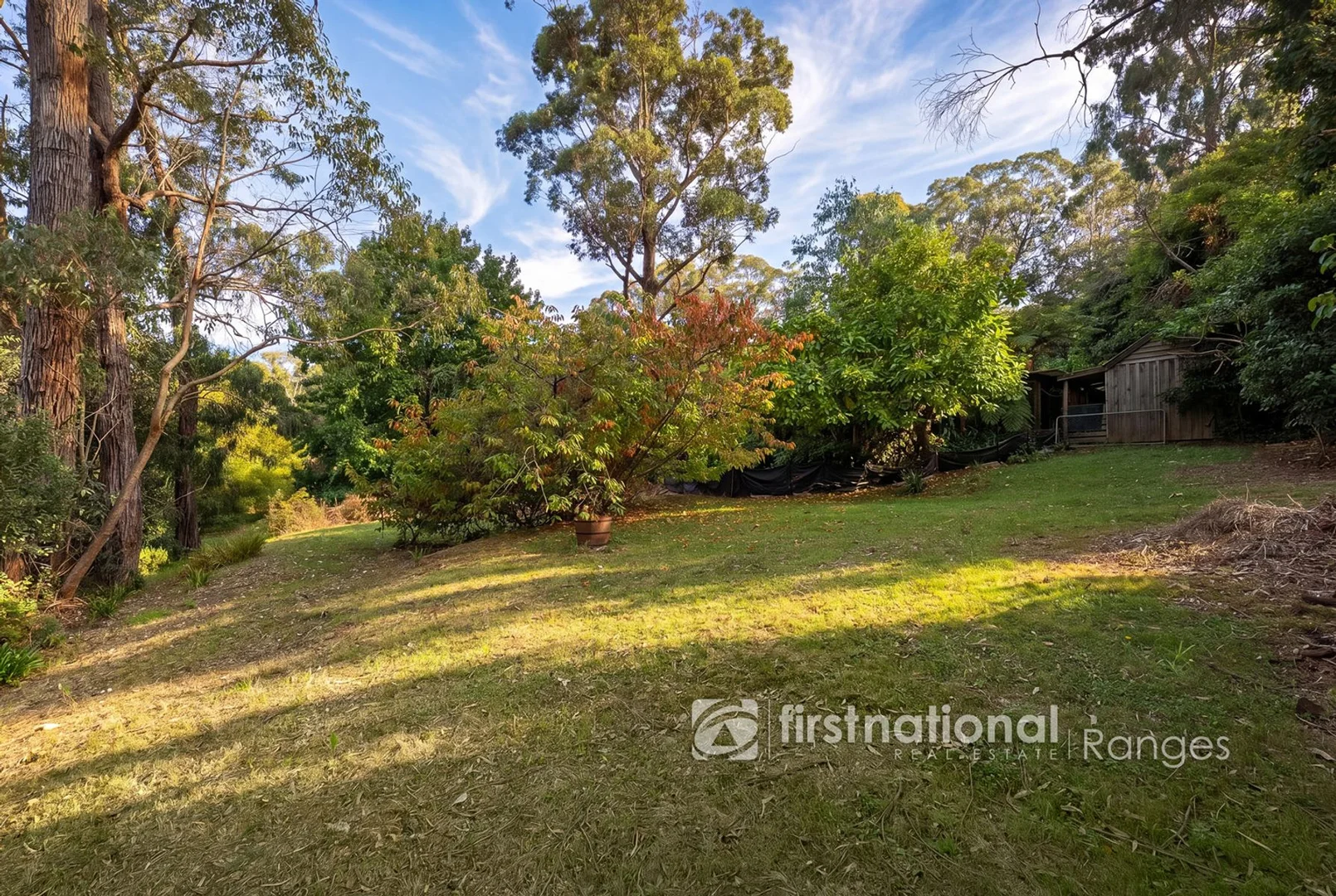 Image 12