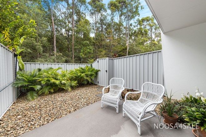 59 2 Bedroom Apartments For Sale In Noosaville Qld 4566 Domain