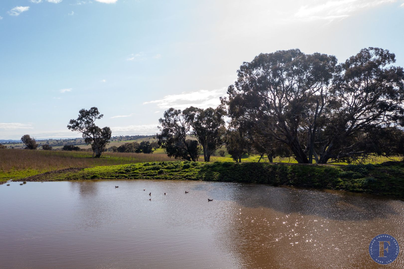 Lot 3 Milo Road, Murringo NSW 2586, Image 1