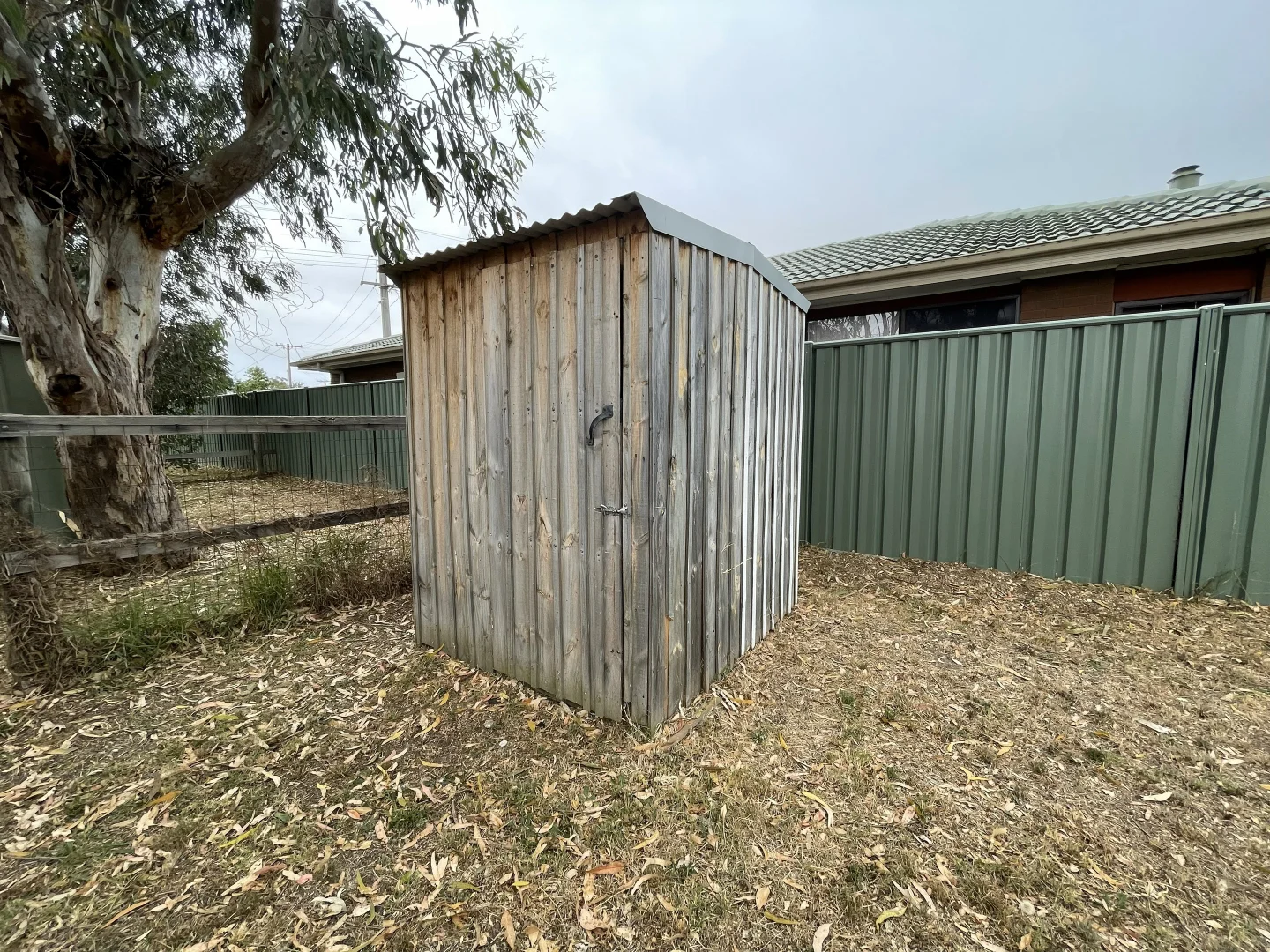 Image 18