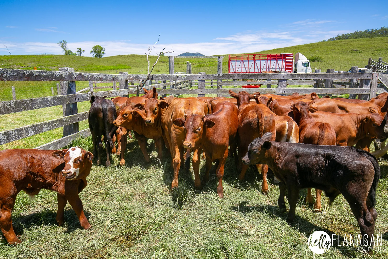Additional image 11 of 2953 Willi Willi Road, Moparrabah NSW 2440