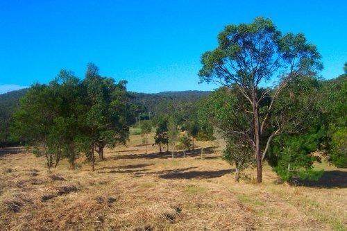 140 Boolambayte Road, Boolambayte NSW 2423, Image 2