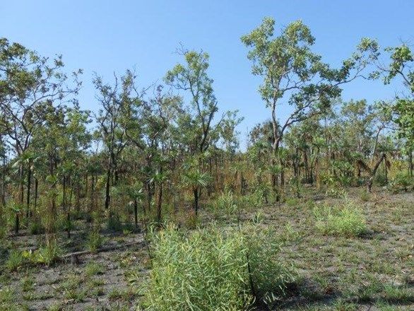 Coomalie Creek NT 0822, Image 2