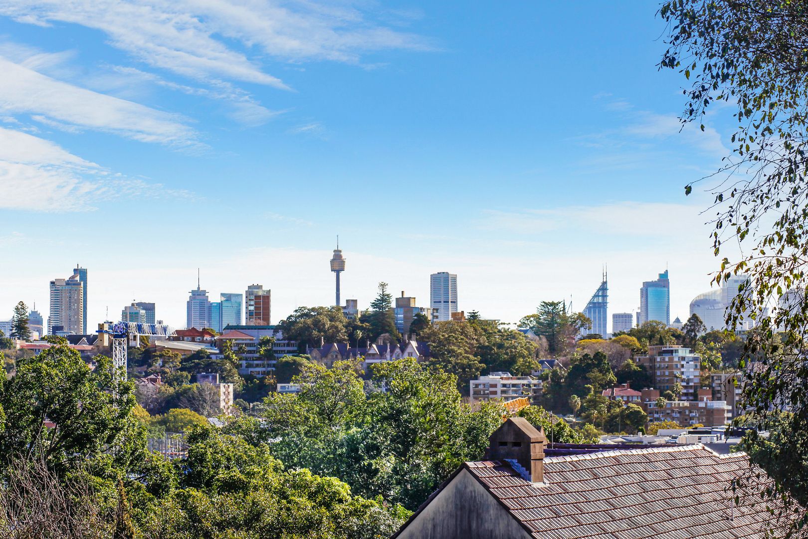 2/3 Fairfax Road, Bellevue Hill NSW 2023, Image 2