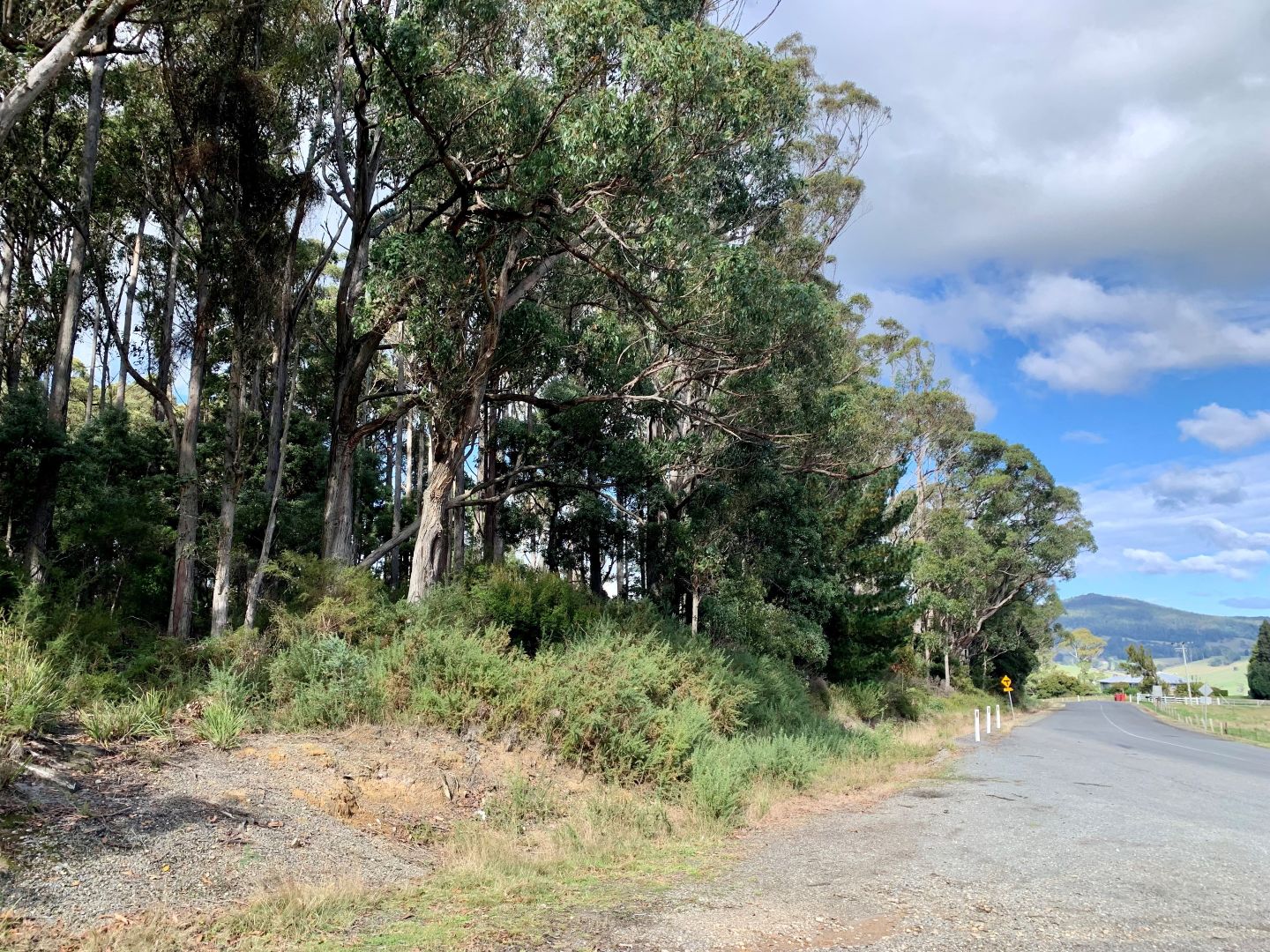 2 Bacala Road, Lilydale TAS 7268 House for Sale Domain