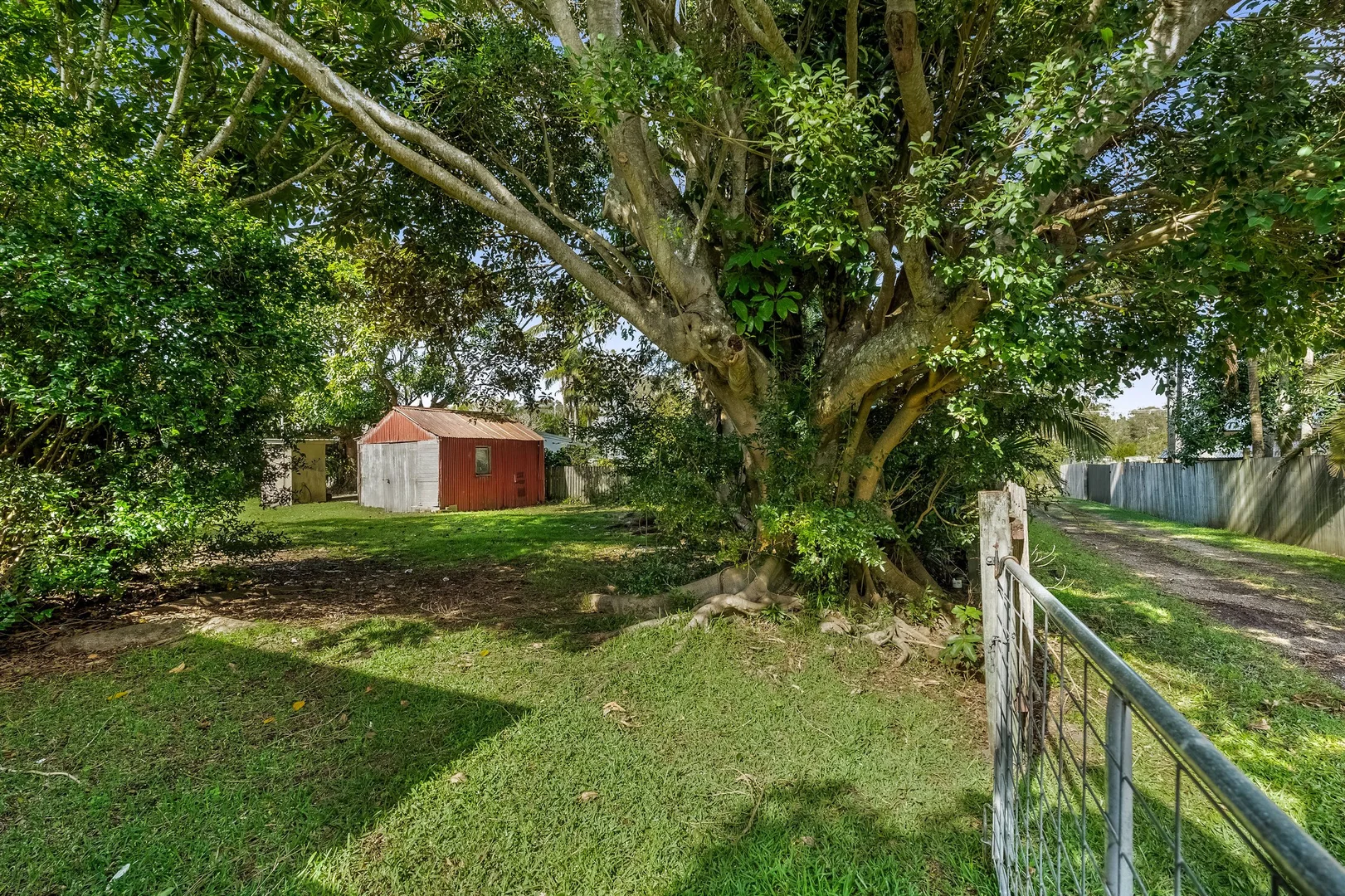 Image 15