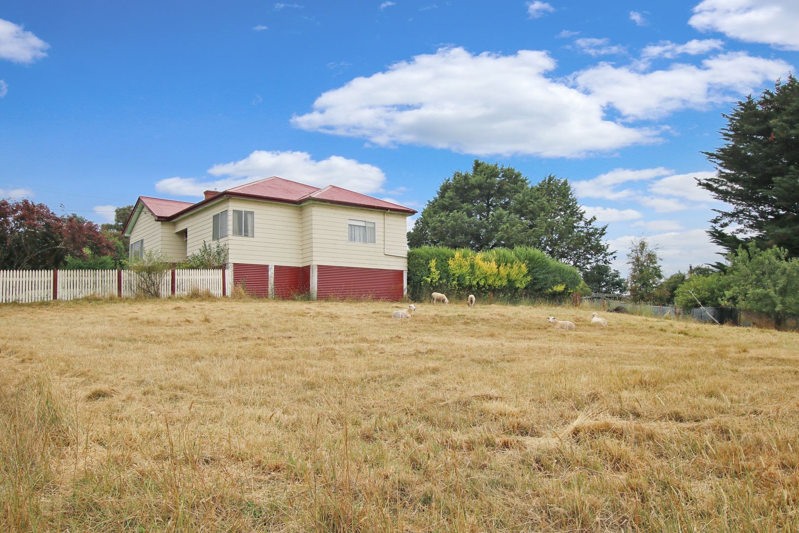 3 Church Street, Delegate NSW 2633 Domain