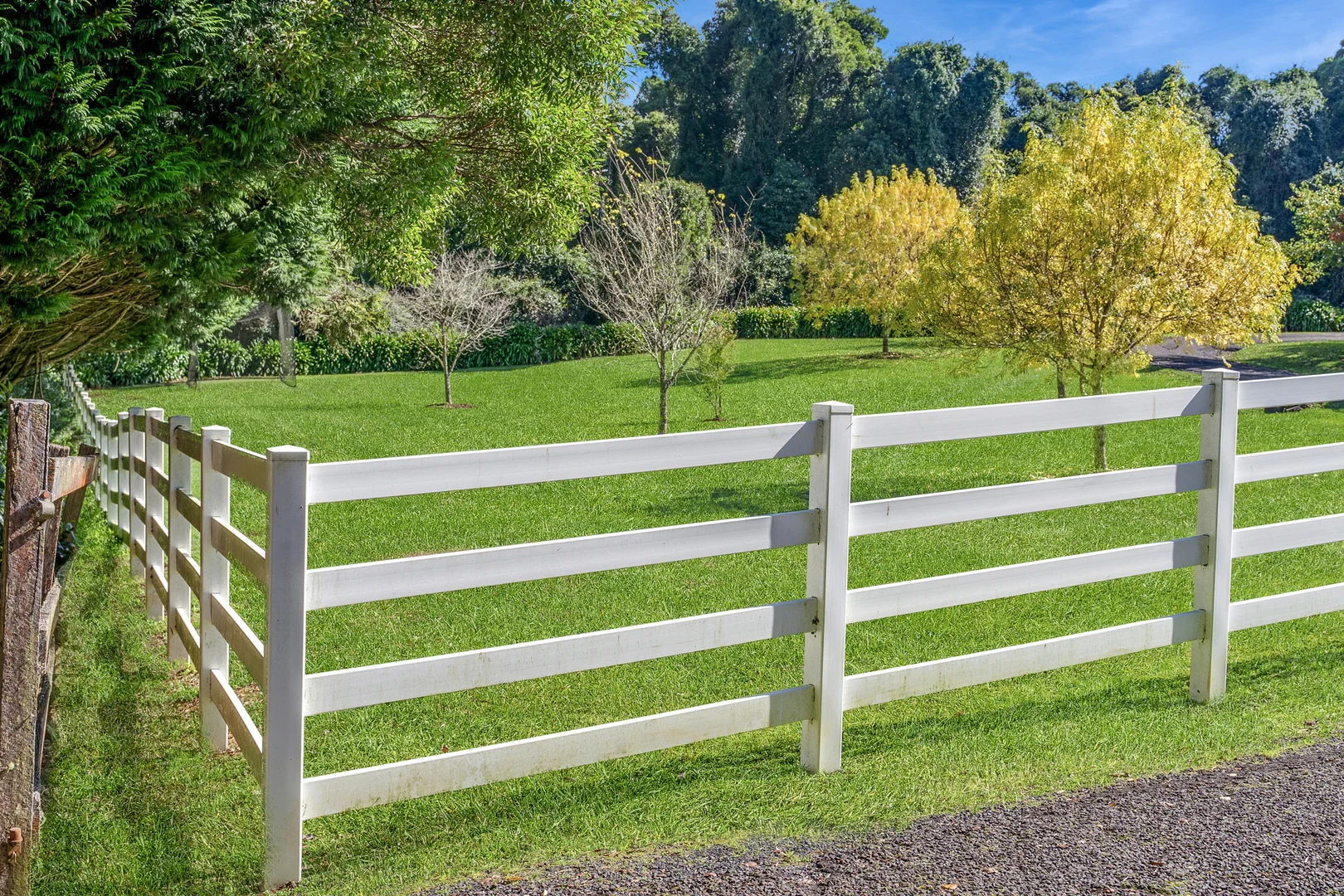 Additional image 25 of 101 Pearsons Lane, Robertson NSW 2577