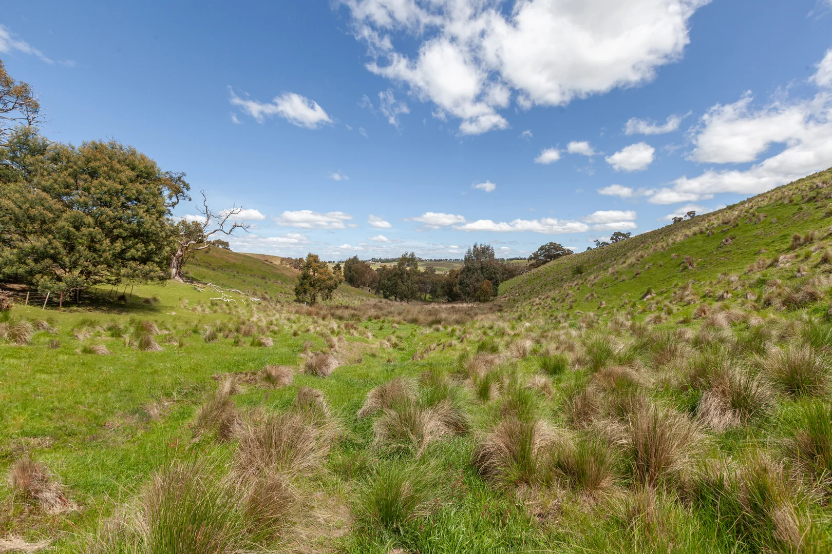 Image 13