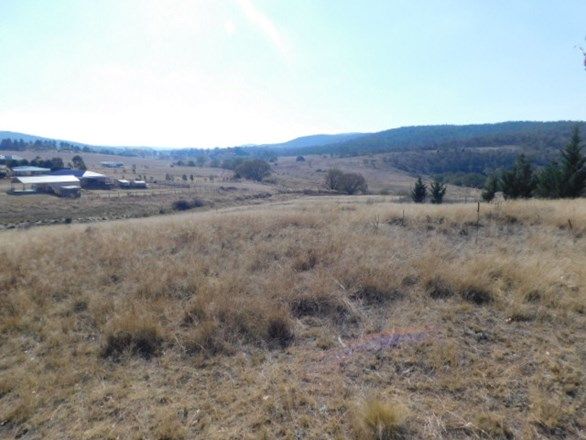 Picture of Snowy Creek Avenue, COOMA NSW 2630