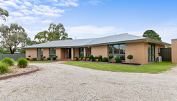 Picture of 23 Newnham Road, LONGFORD VIC 3851
