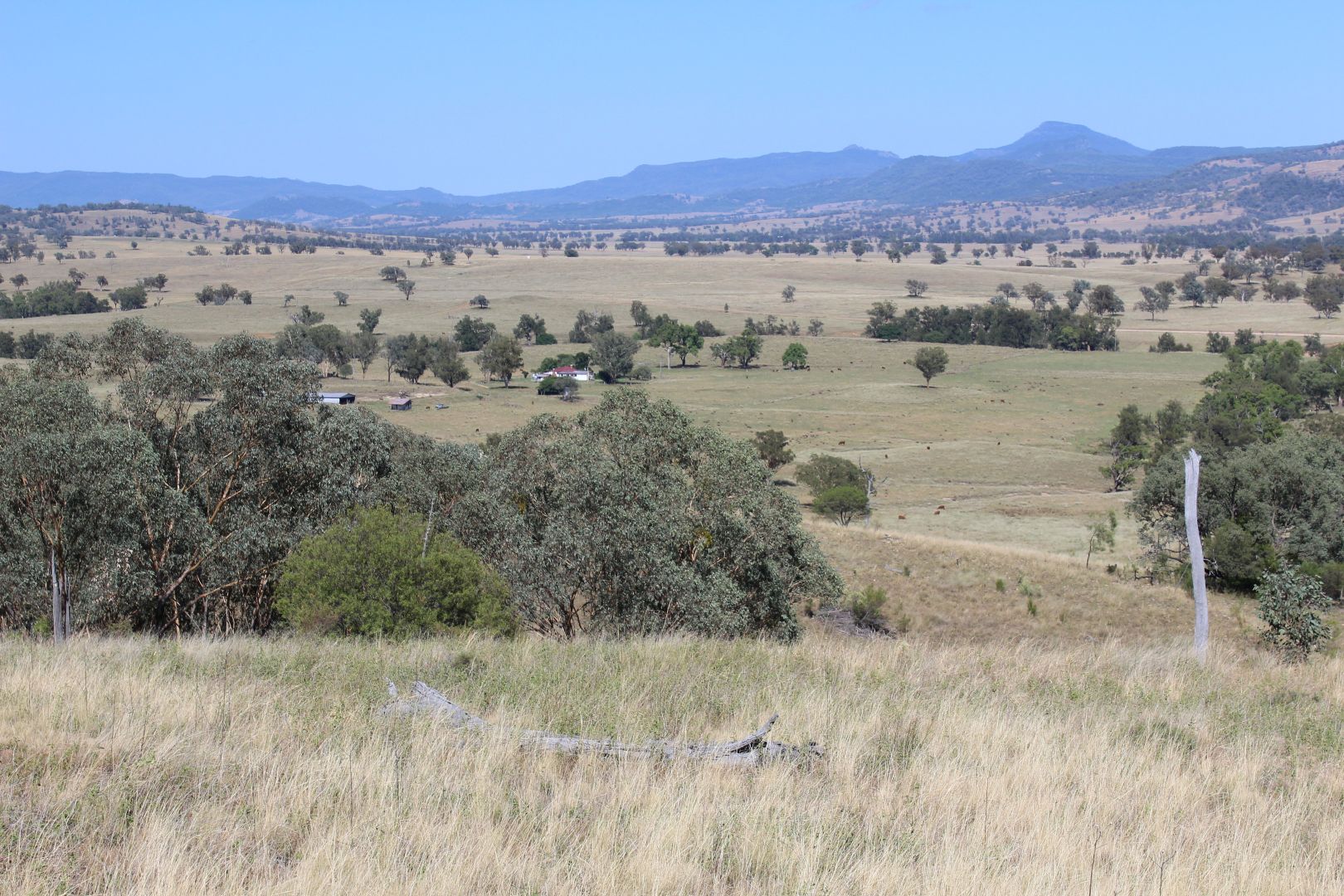 "High Valley" 243 Back Creek Road, Narrabri NSW 2390, Image 2