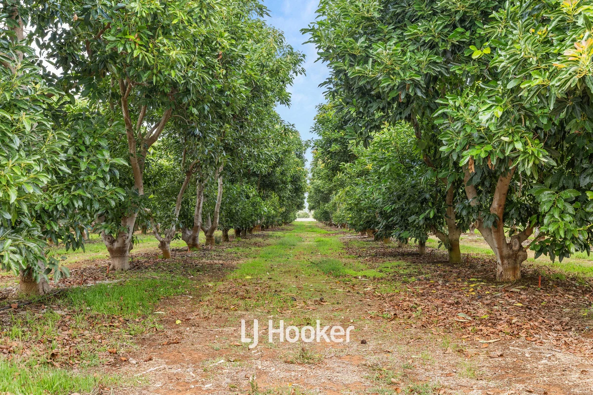 Additional image 32 of 308 Payne Road, Kaloorup WA 6280