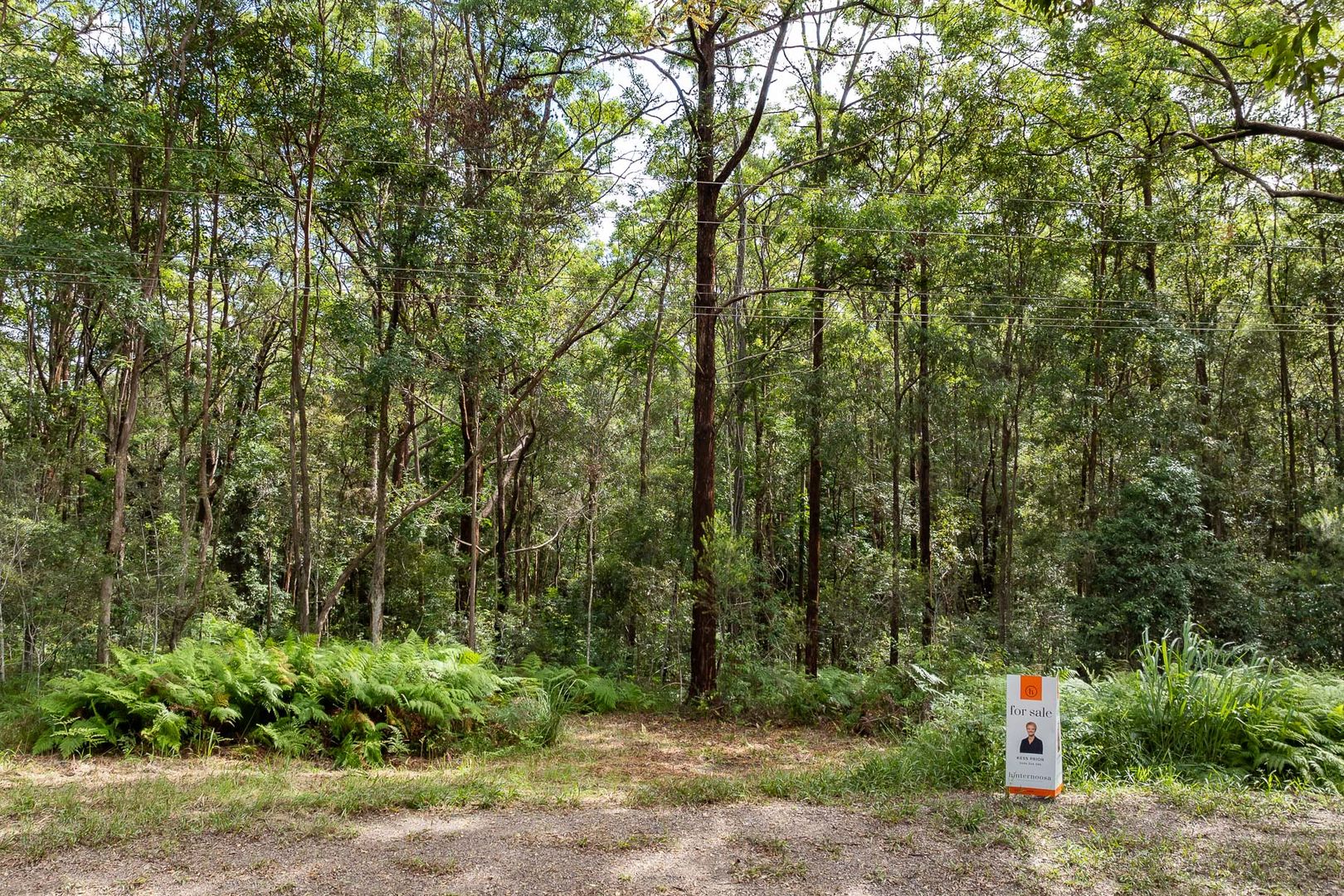 234 to 258 Pryor Road, Verrierdale QLD 4562, Image 1