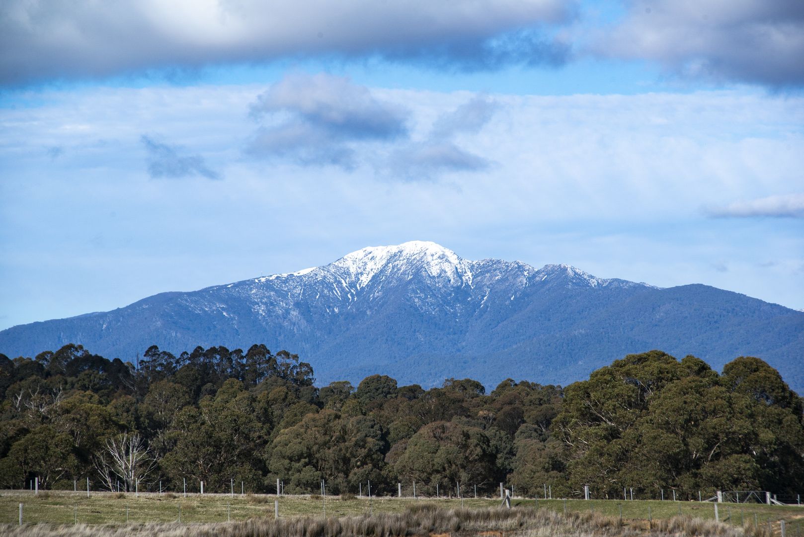 680 Glenroy Road, Merrijig VIC 3723, Image 1