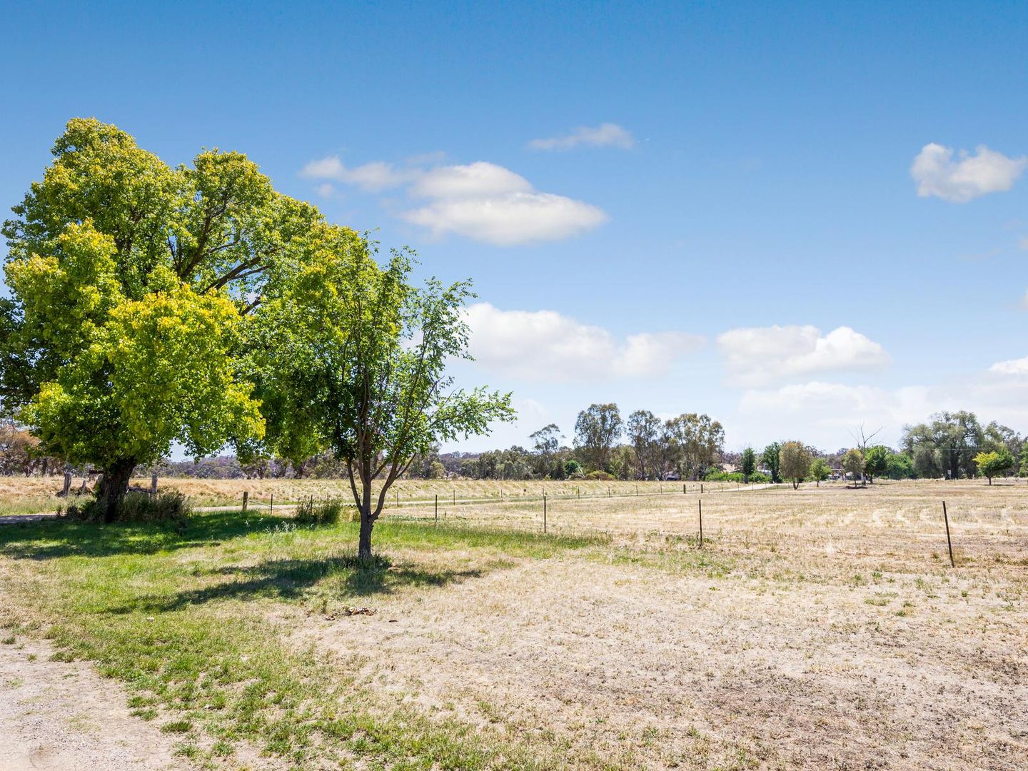 Corner Adair And Panmure Street, Newstead VIC 3462, Image 1