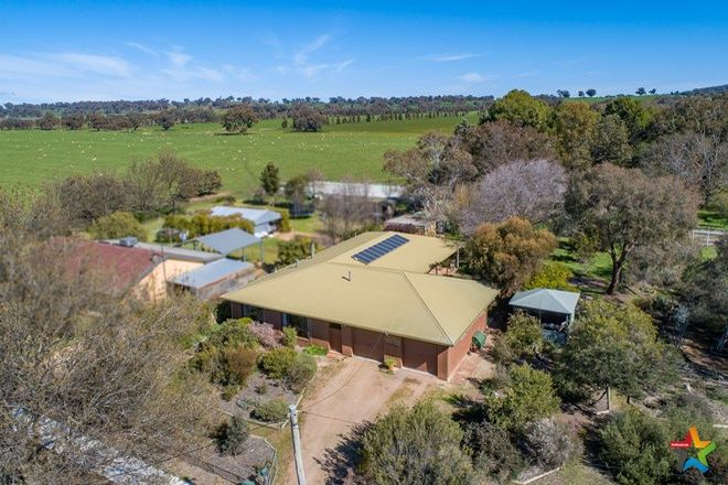 Picture of 56 Urana Road, BURRUMBUTTOCK NSW 2642