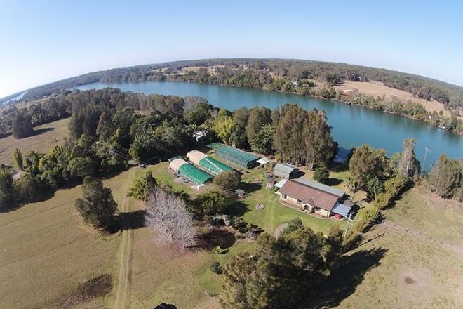Picture of 24 Cowans Lane, OXLEY ISLAND NSW 2430