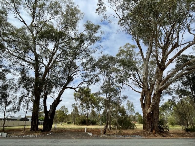 Lot 2, 31 Meteorite Street, Murchison VIC 3610, Image 1