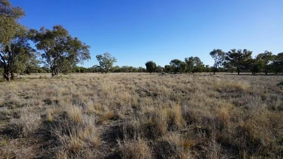 Image 15
