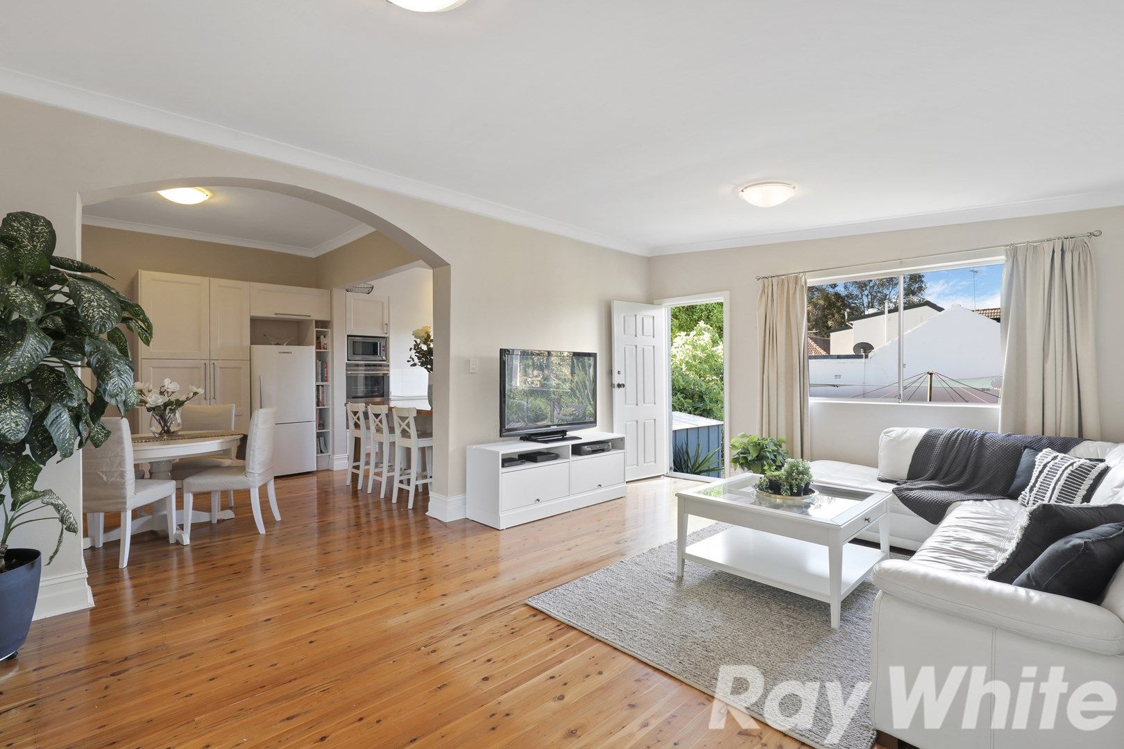 17 Frazer St, Dulwich Hill NSW 2203, Image 0