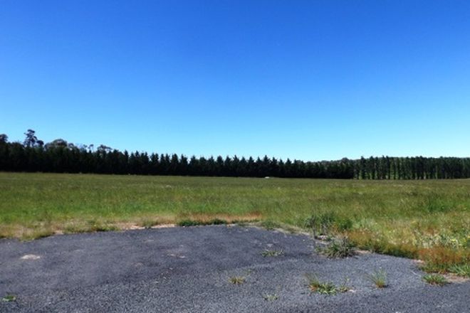 Picture of Lot 5 47 Beaver Place, WALCHA NSW 2354
