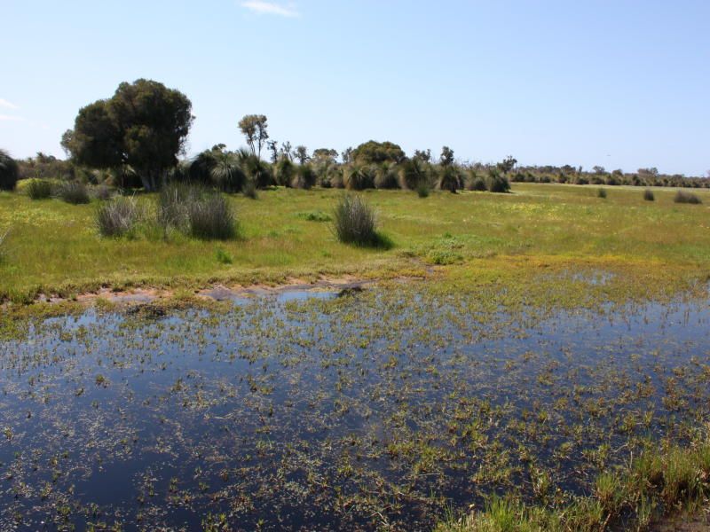 Lot 123 Gingin Brook Road, Muckenburra WA 6503, Image 0