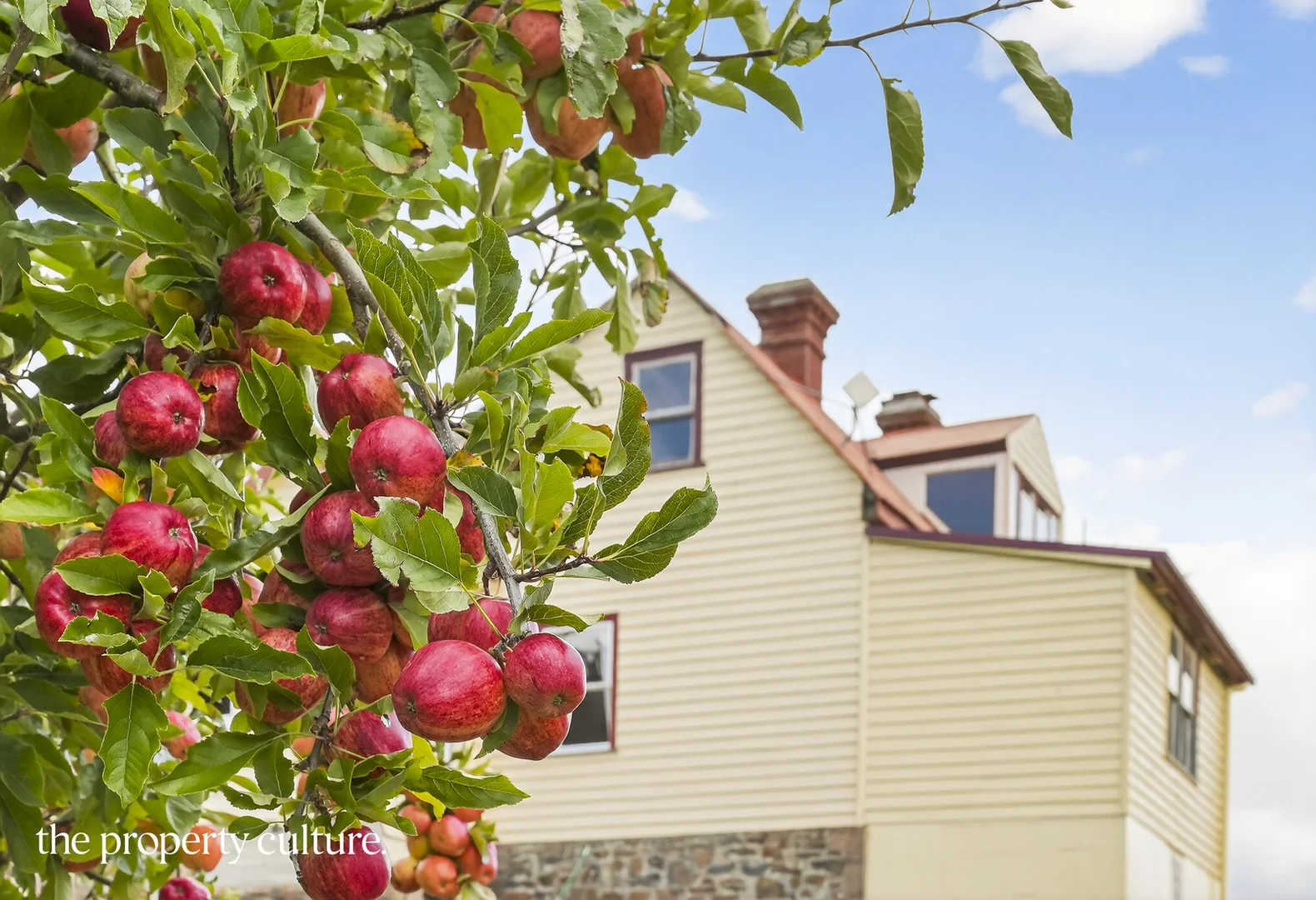 Additional image 35 of 25 Triffets Lane, Castle Forbes Bay TAS 7116