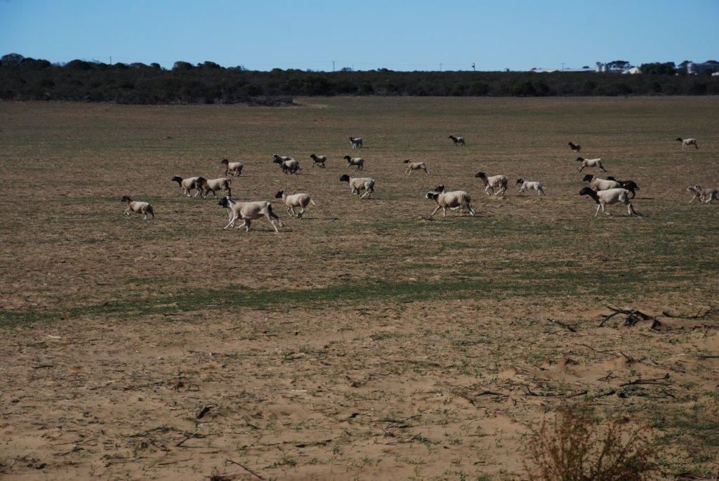 Kalbarri WA 6536, Image 0