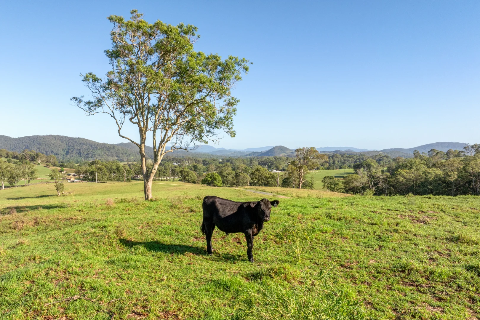 Additional image 5 of 2898 The Bucketts Way, Stroud NSW 2425