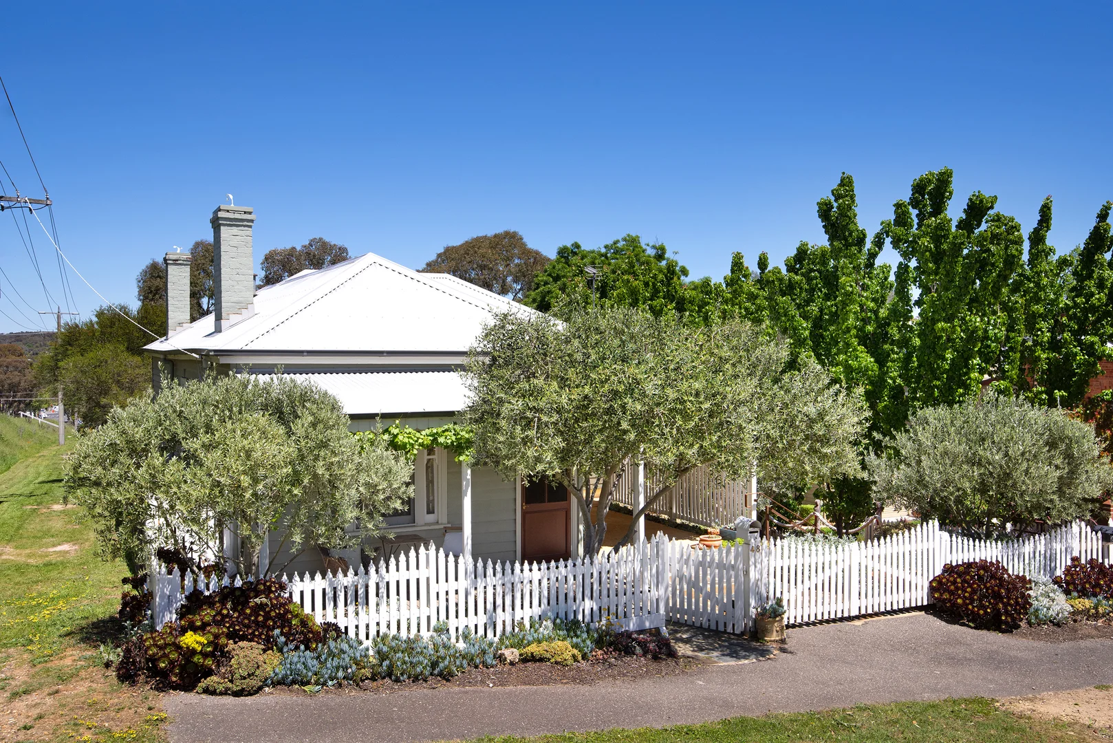 Image 13