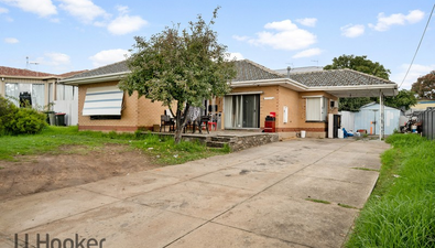 Jordan Prole | LJ Hooker Flinders Park | Real Estate Agent in 240 ...