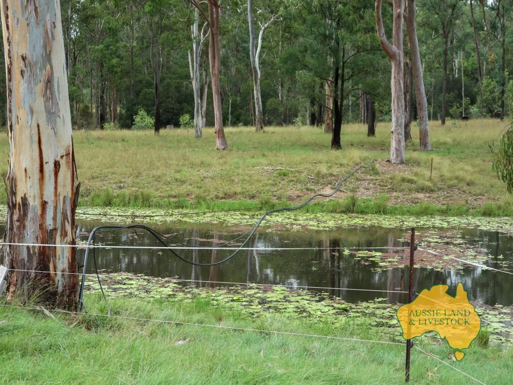 Image 50