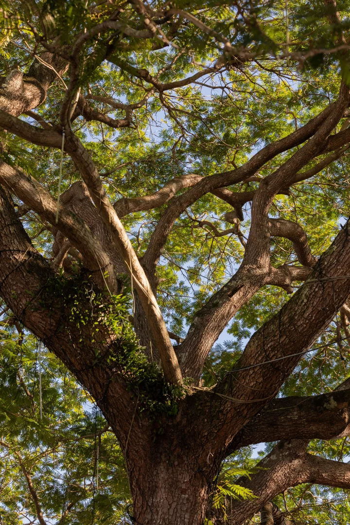 Additional image 8 of 265 Highlands Road, Eudlo QLD 4554