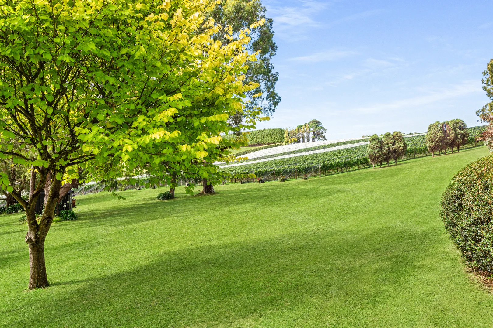 Additional image 26 of 72 Baldrys Road, Main Ridge VIC 3928