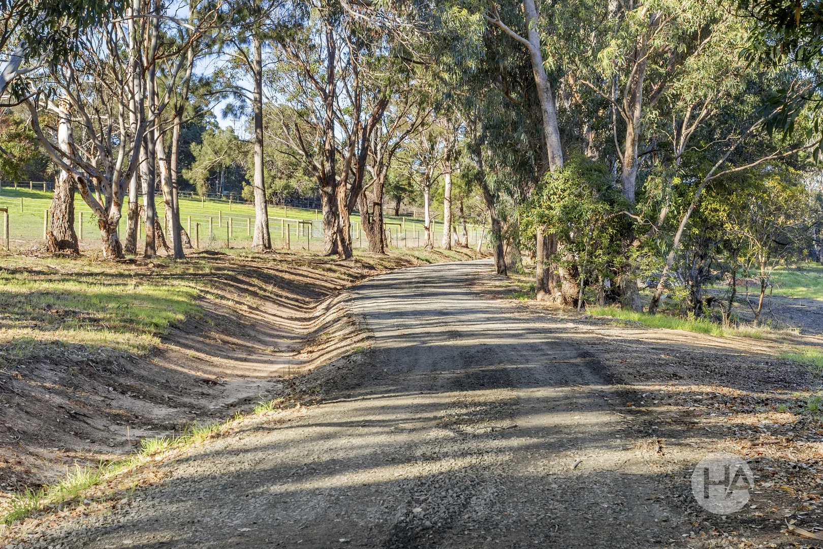 Image 14
