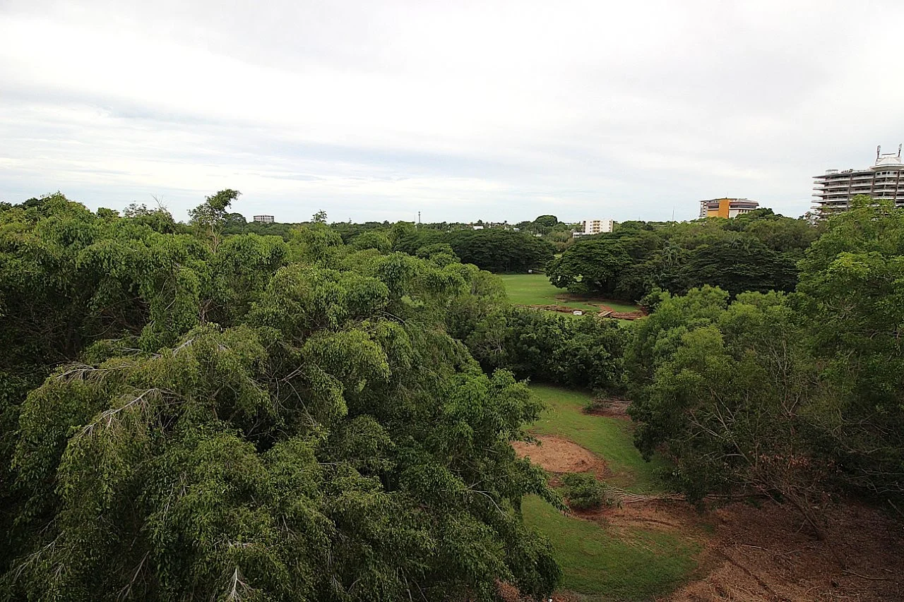 Image 13