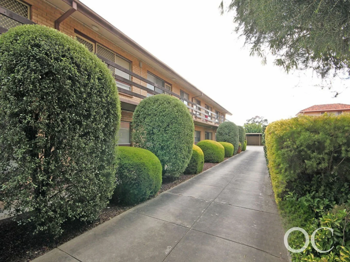 Additional image 9 of 3/64 Ormond Avenue, Daw Park SA 5041