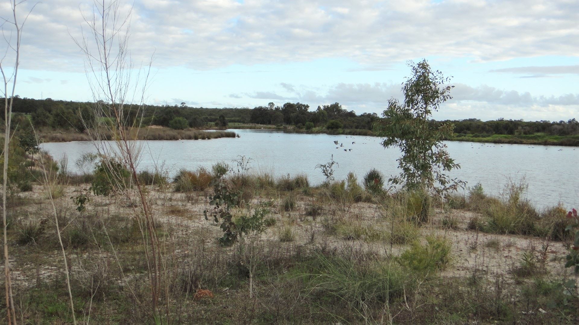 471 Cloverdale Road, Capel River WA 6271, Image 1