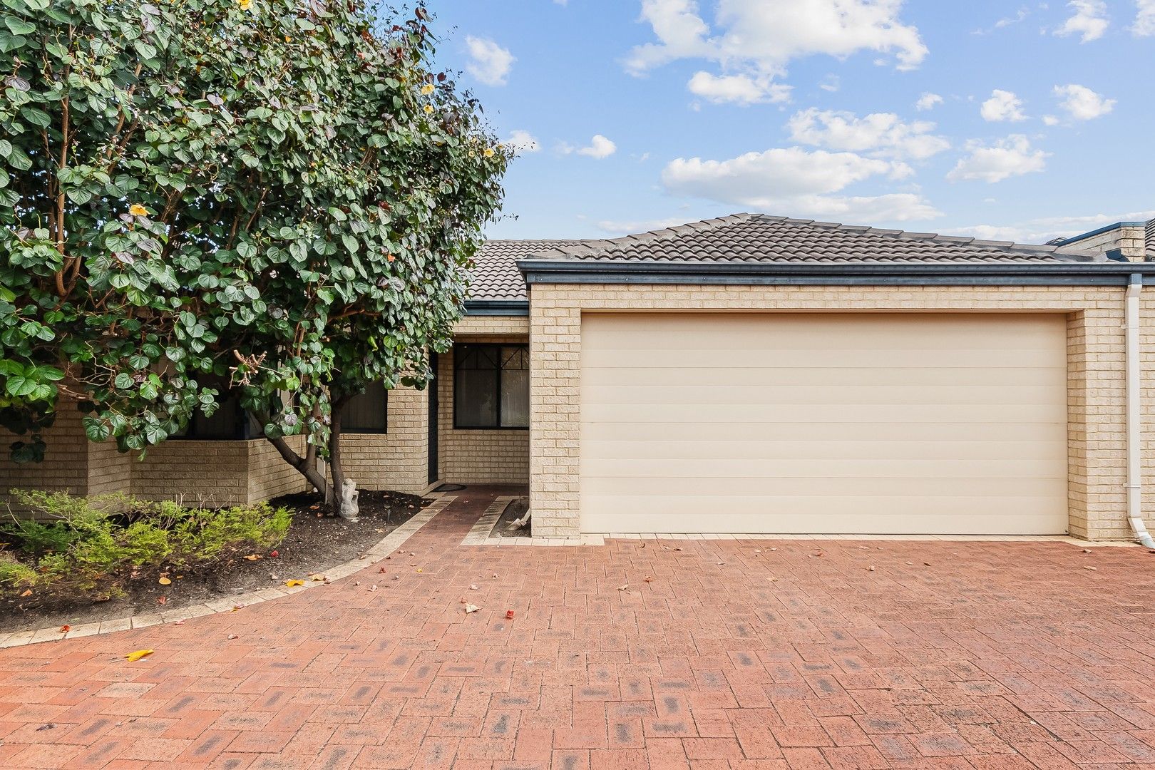 3 bedrooms Villa in 12/23-25 Sydenham Street RIVERVALE WA, 6103