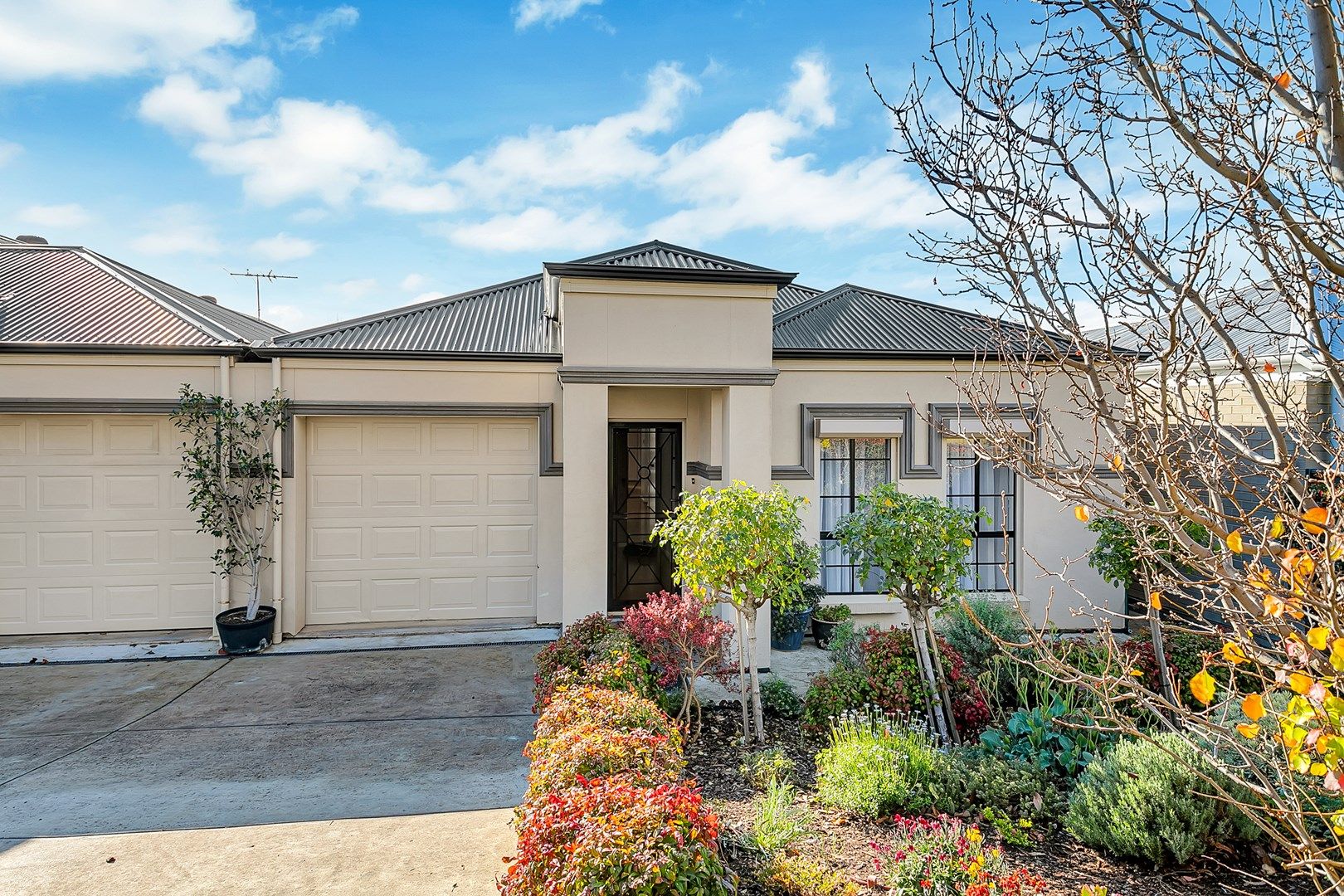 19 Alderman Avenue, Seacombe Gardens SA 5047, Image 0